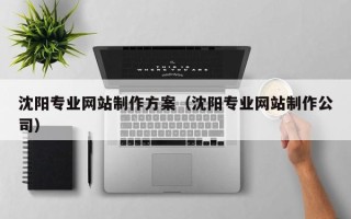 广饶沈阳专业网站制作方案（沈阳专业网站制作公司）